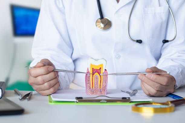 Best Emergency Tooth Extraction in Barneveld, WI